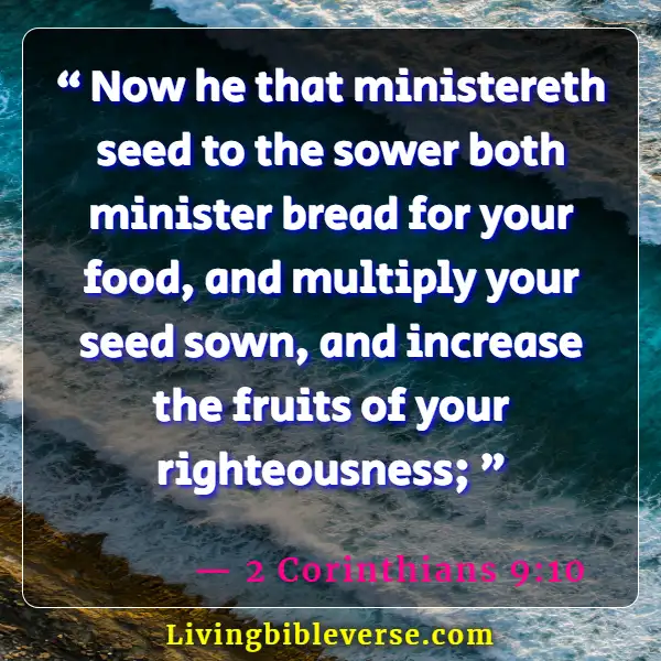 Bible Verse Food For The Soul (2 Corinthians 9:10)