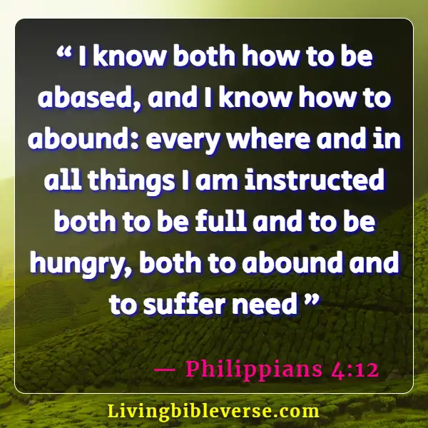 Bible Verse Food For The Soul (Philippians 4:12)