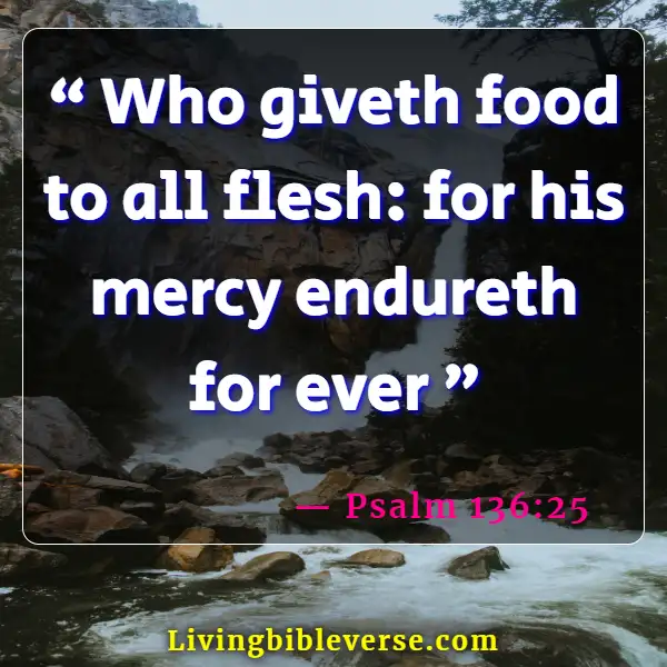 Bible Verse Food For The Soul (Psalm 136:25)