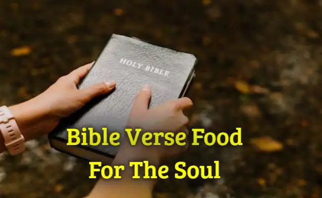 Bible Verse Food For The Soul