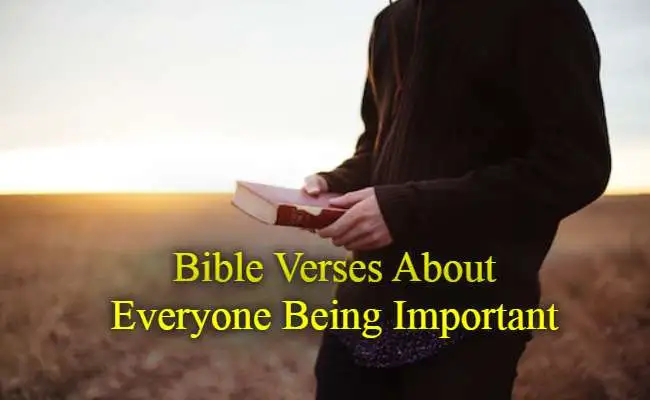 Bible Verses About Everyone Being Important