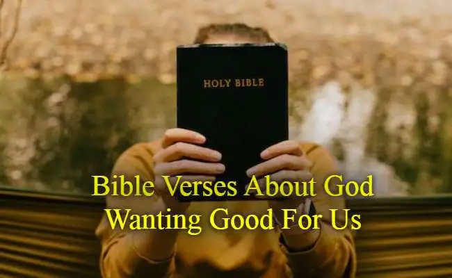 Bible Verses About God Wanting Good For Us