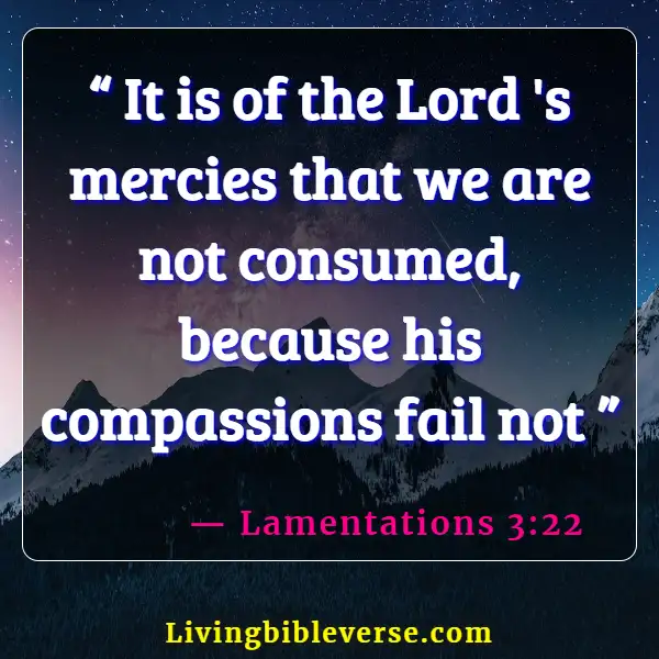 Bible Verses About Remembering Loved Ones (Lamentations 3:22)