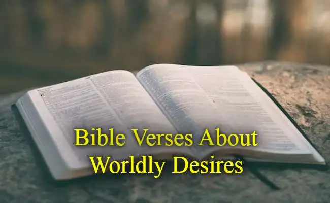 Bible Verses About Worldly Desires