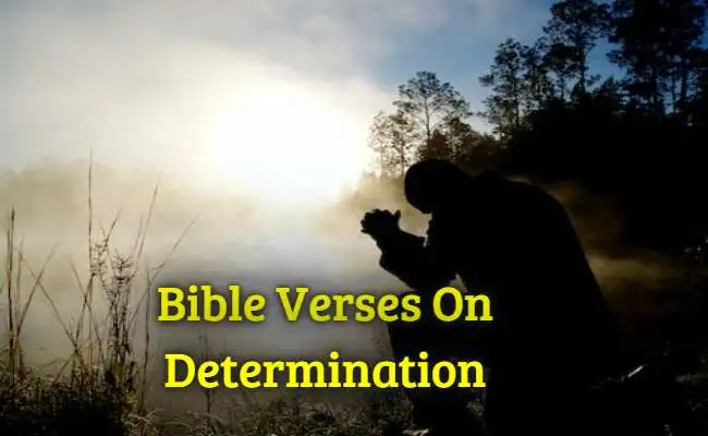Bible Verses On Determination