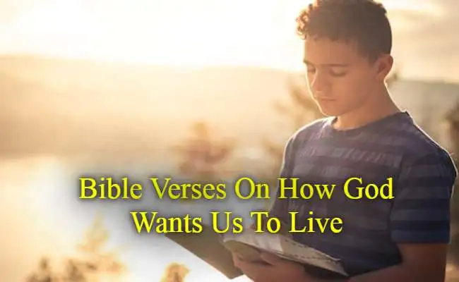 Bible Verses On How God Wants Us To Live