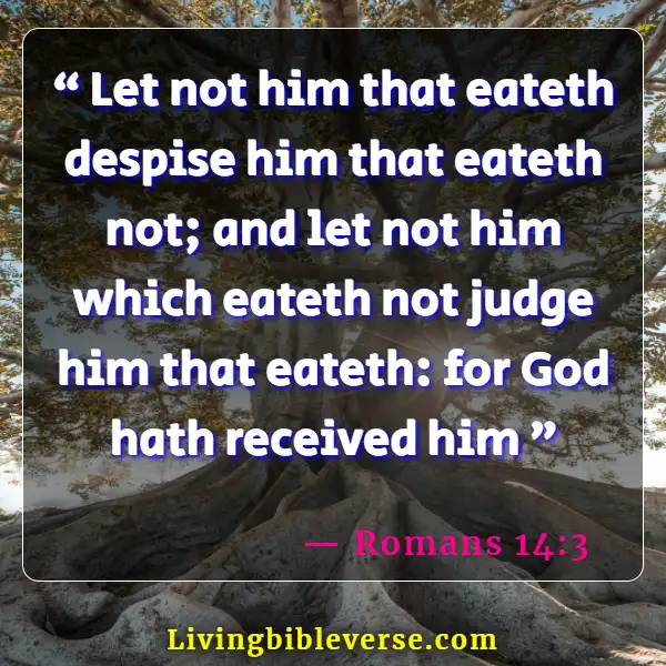 Bible Verse About Eating And Drinking Together (Romans 14:3)