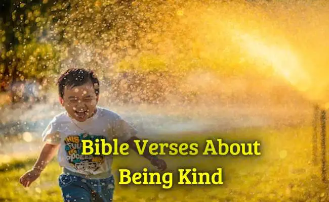Bible Verses About Being Kind