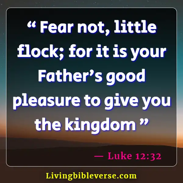 Bible Verses About Future Plans (Luke 12:32)