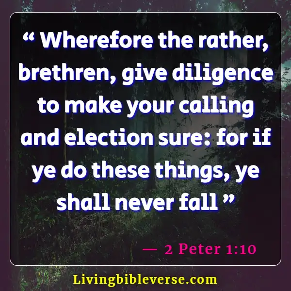 Bible Verses About Taking Responsibility For Your Own Actions (2 Peter 1:10)