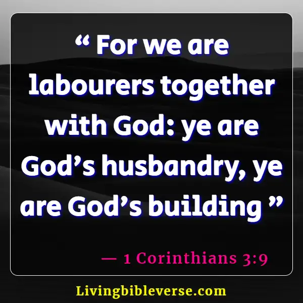 Bible Verses About Teamwork (1 Corinthians 3:9)