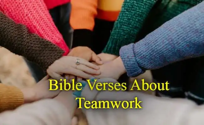 Bible Verses About Teamwork