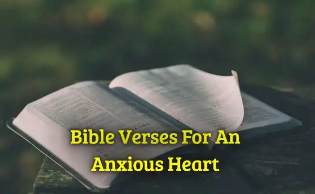 Bible Verses For An Anxious Heart