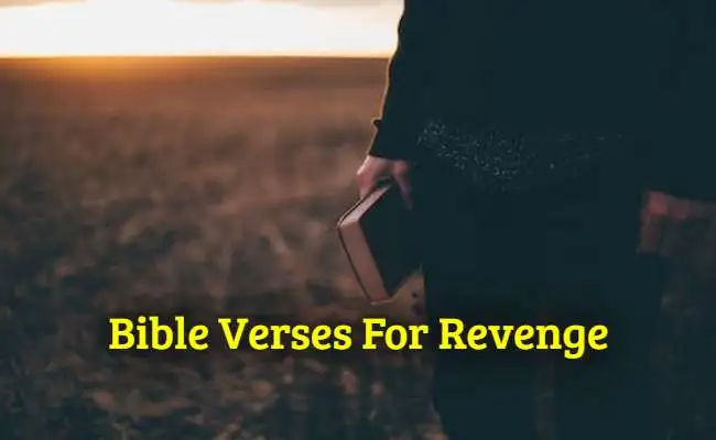 Bible Verses For Revenge
