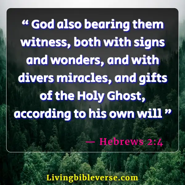 Powerful Bible Verses About Miracles (Hebrews 2:4)