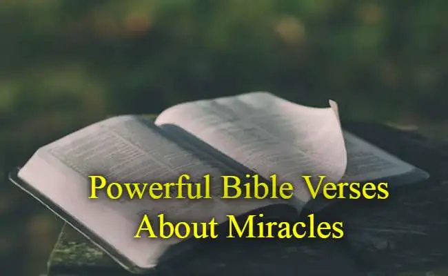 Powerful Bible Verses About Miracles