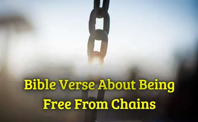 Bible Verse About Being Free From Chains