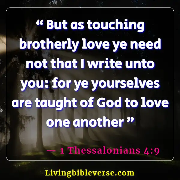 Bible Verse About Clothing Yourself In Love (1 Thessalonians 4:9)