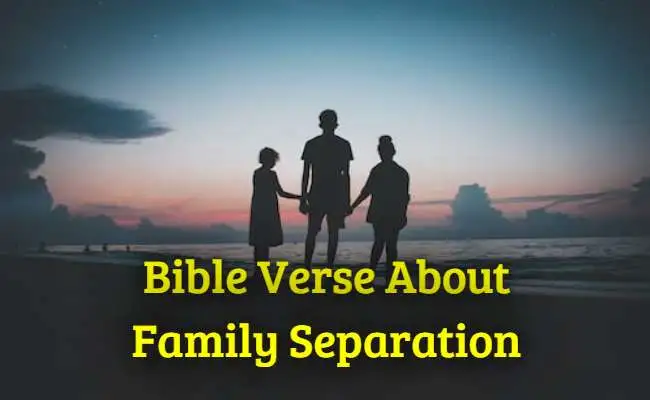 Bible Verse About Family Separation