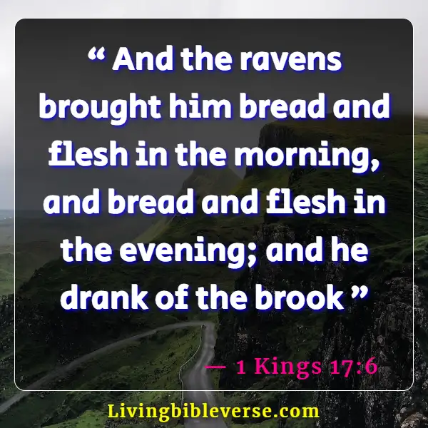 Bible Verse About Food Blessings (1 Kings 17:6)