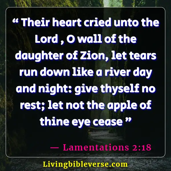 Bible Verse About God Catching Our Tears (Lamentations 2:18)