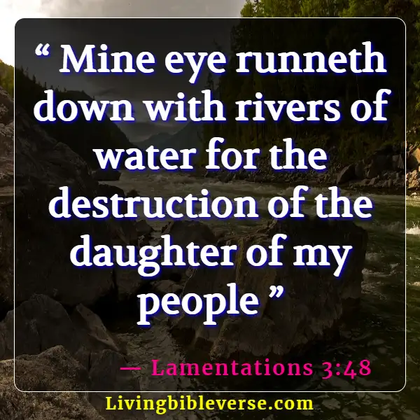 Bible Verse About God Catching Our Tears (Lamentations 3:48)