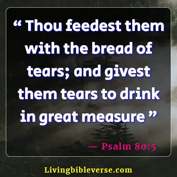 Bible Verse About God Catching Our Tears (Psalm 80:5)