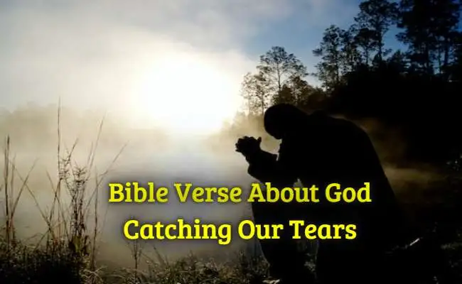 Bible Verse About God Catching Our Tears