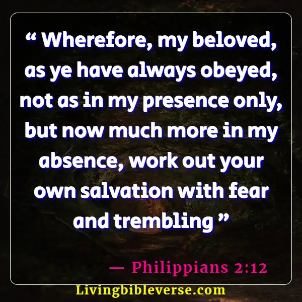 Bible Verse About Helping Yourself (Philippians 2:12)