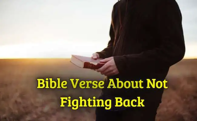 Bible Verse About Not Fighting Back