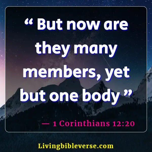 Bible Verse About Parts Of The Body Working Together (1 Corinthians 12:20)