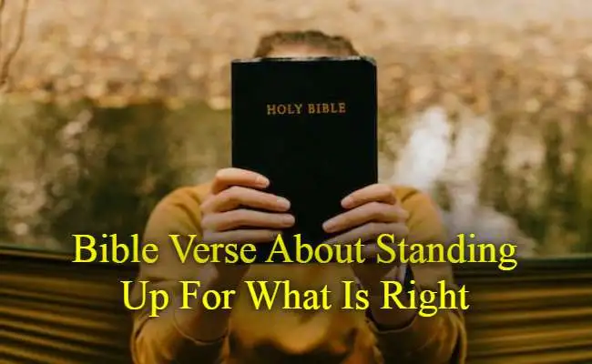 Bible Verse About Standing Up For What Is Right