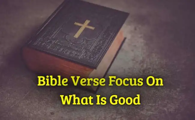 Bible Verse Focus On What Is Good