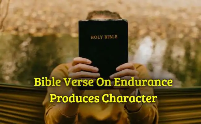 Bible Verse On Endurance Produces Character