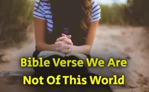 Bible Verse We Are Not Of This World