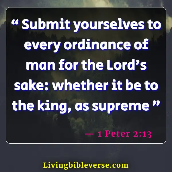 Bible Verses About Abiding By The Law (1 Peter 2:13)