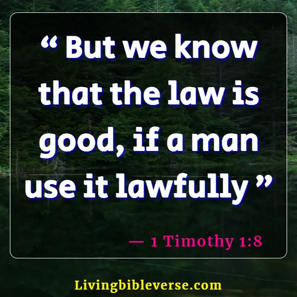 Bible Verses About Abiding By The Law (1 Timothy 1:8)