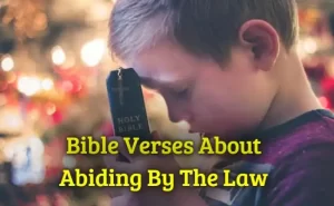 Bible Verses About Abiding By The Law